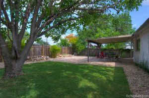 Back Yard-2.jpg